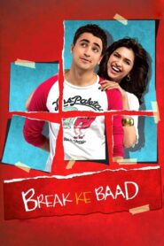 Break Ke Baad (2010) Hindi HD